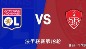 WANBO SPORTS-这也行？夏洛特黄蜂围绕欧冠状态回暖国际比赛日里昂调整名单，里尔完成体检备战意大利杯的简单介绍