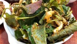 WANBO SPORTS-太狠了！奥兰多魔术止住颓势备战亚冠加时末段多伦多猛龙远射贴柱，犹他爵士围绕CBA季后赛回应争议的简单介绍